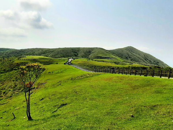 走遍陽明山：擎天崗系｜景遠心自闊，潺潺溪水聲洗去一身憂2113825