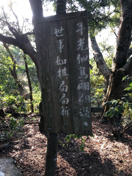 1090207田中森林步道846604