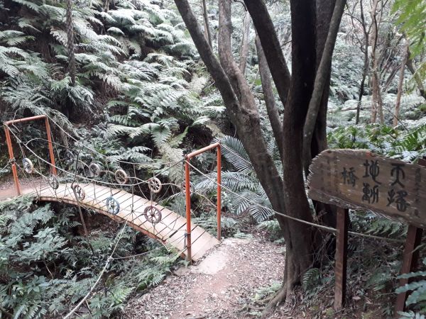 林口森林步道 (頂福巖)100428