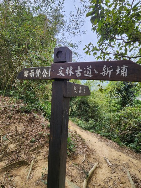 112/2/23龍鳳連稜2148193