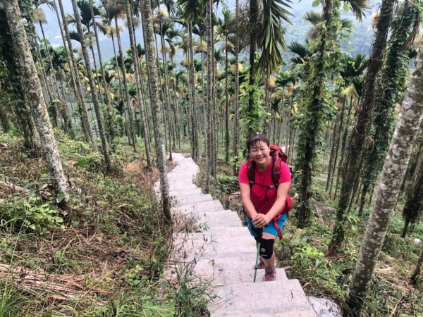 後棟山經挑筍古道上大尖山再走樟湖山1100400