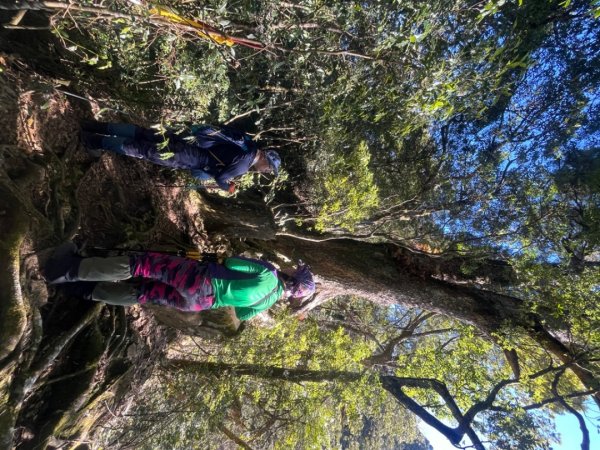 霞喀羅古道-石鹿進-白石駐在所兩天一夜2683885