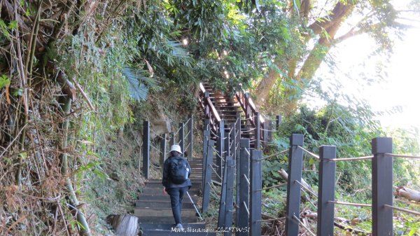 《台中》落雨松季｜石岡挑物古道O繞下情人木橋202501122687625