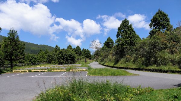 山毛櫸步道,望洋山步道2587689