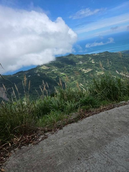 太麻里金針山2872616