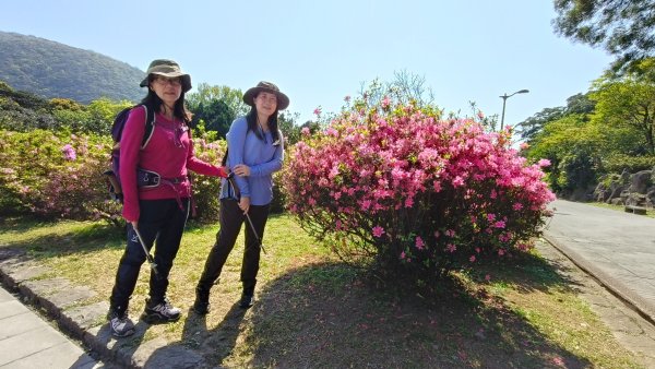 陽明山國家公園202503232743269