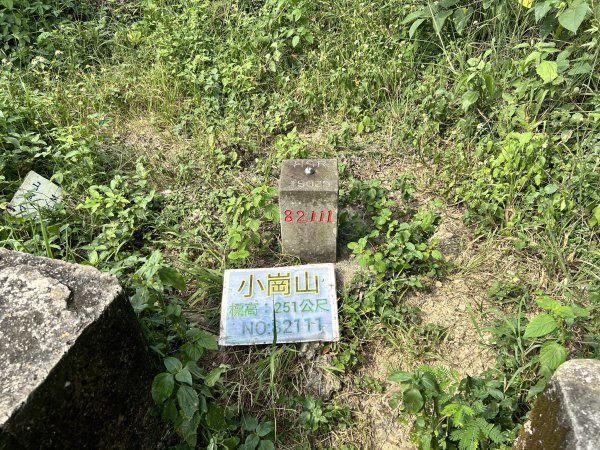 小崗山健行步道2909438