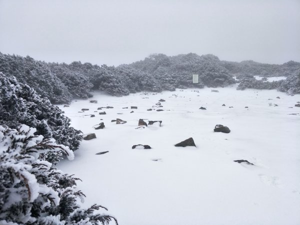 百岳:玉山南峰_雪季1575121