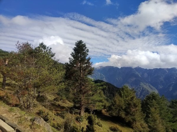 1141116麟趾山3098290