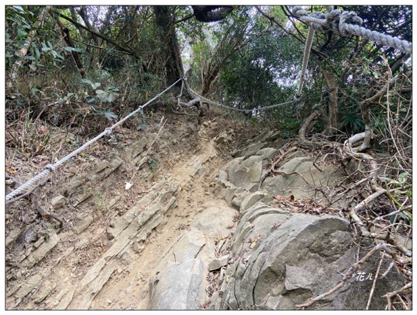 旗靈縱走(旗尾山、福美山、金字面山、人頭山、靈山)2996470