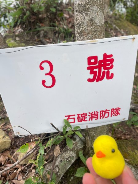 微笑山⛰️線-大棟-二格山-五分山-天上山-鳶山💎12條步道完成💙2834182