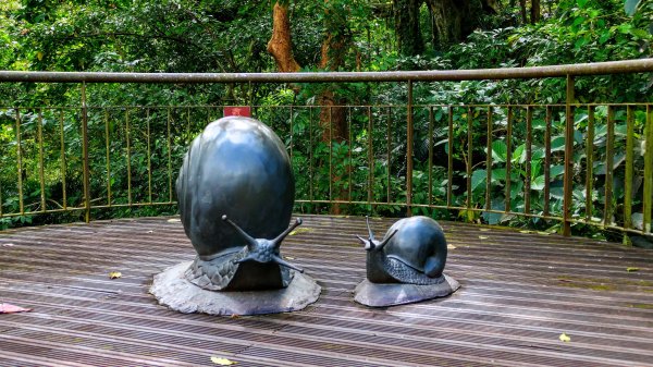 知本森林遊樂區3015070