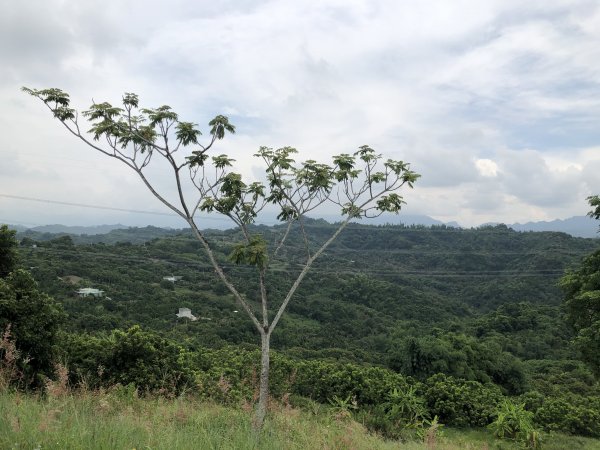 台灣小百岳No.046 阿罩霧山1102199