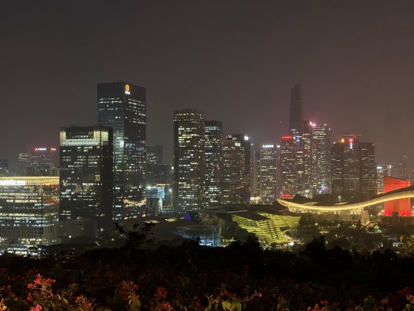 [茂名馬之行-13] 2026_0119 深圳夜景2997030