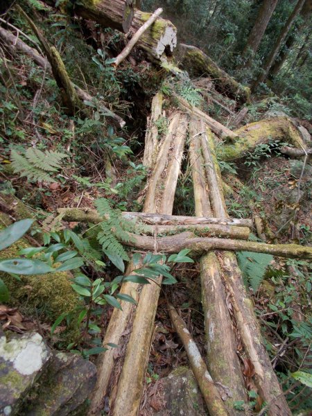 治茆山,治茆山南峰,巒山堂691183