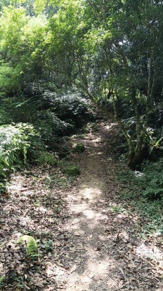 20251004 馬那邦山 - 珠湖 登山口2904939