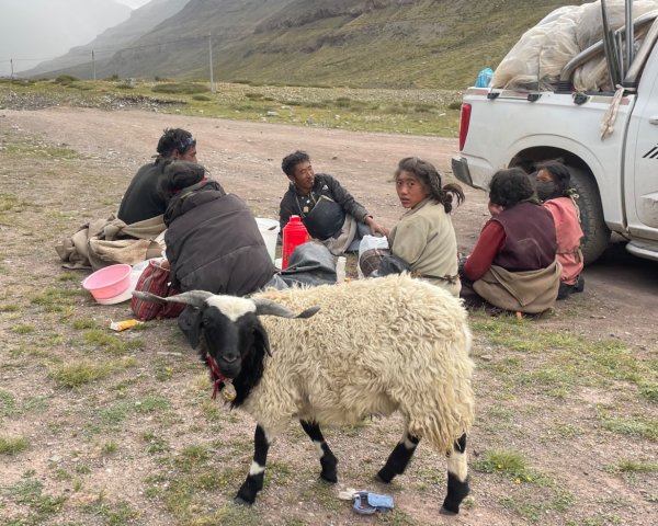 西藏♥️可愛動物🐎人物寫真/拉薩旅拍/美食2902903