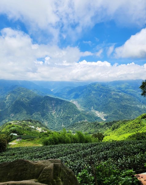【中級山縱走】雲嘉八連峰（後棟仔山，大尖山，二尖山，馬鞍山，梨子腳山，太平山，大巃頂山及其西北峰）2821129