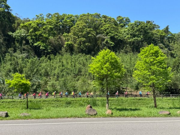 八結古道 頭寮山 慈湖3040065