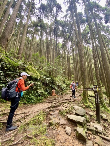 橫嶺山散步趣    2022/8/171809050