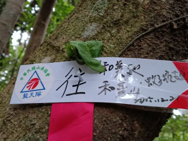 貢寮區蚊子坑古道+和美池+和美山+北勢坑古道2990879