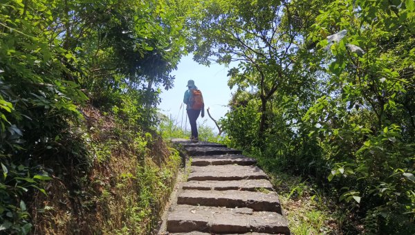 (姨婆趴趴走)第五十三集:台北內湖三山（白鷺鷥山、康樂山、明舉山）連走2774612