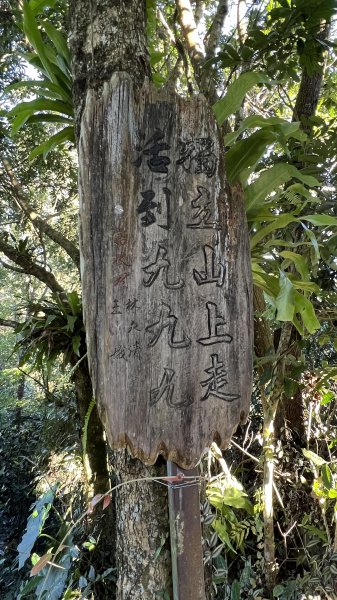 獨立山國家步道_202311032351613