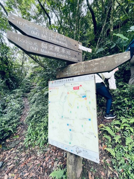 20250413 銀河洞越嶺步道-六分山-待老坑山-員潭子坑山2761199