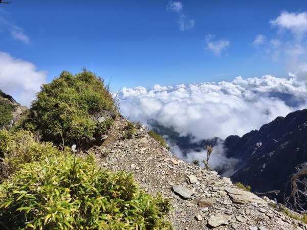 北一段(11/14)南湖北峰 2025_0906~132887331