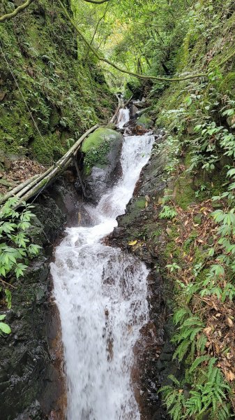 擎天崗系步道巡禮2104326