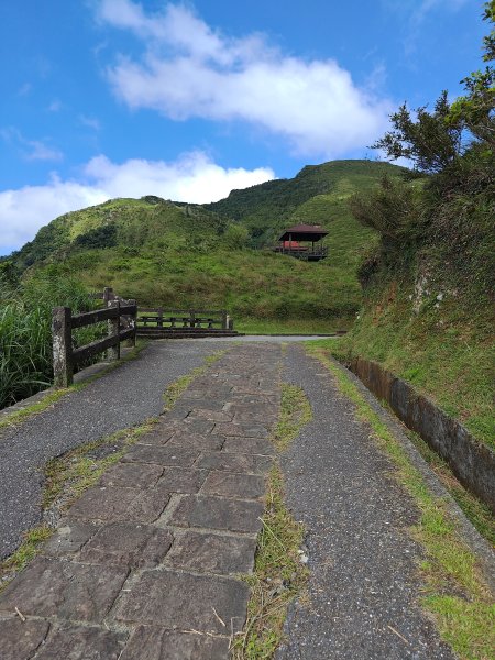20260919草嶺古道3120771