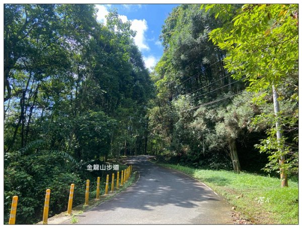 槌仔寮山、槌仔寮山西南峰、金龍山步道 連走2846691
