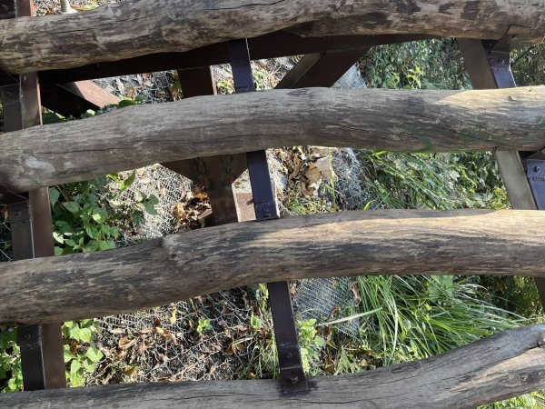 大坑二號步道2711563