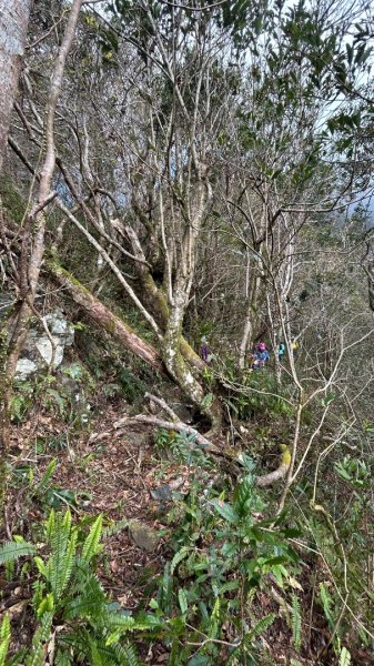 芃芃山西北稜大內台2693938