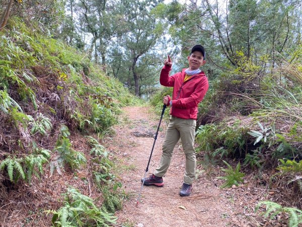 硫磺谷.龍鳳谷.大砲岩.石壇山【大巨蛋 跳起來 可以嗎?】2686321