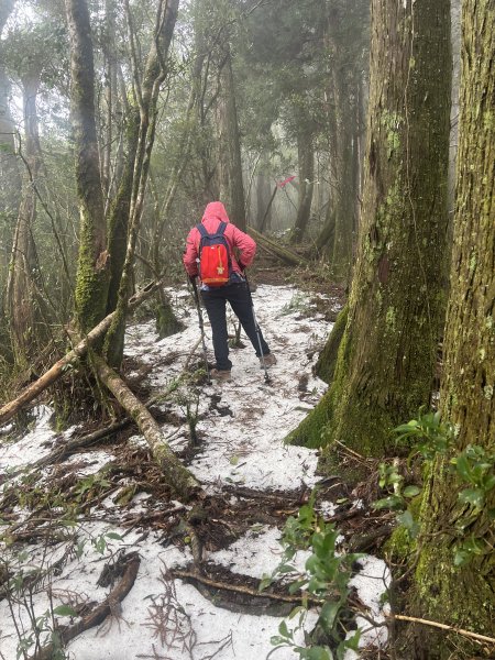 2023/01/26 新竹屯野生台山 石麻達山 錦屏山來回縱走2015855