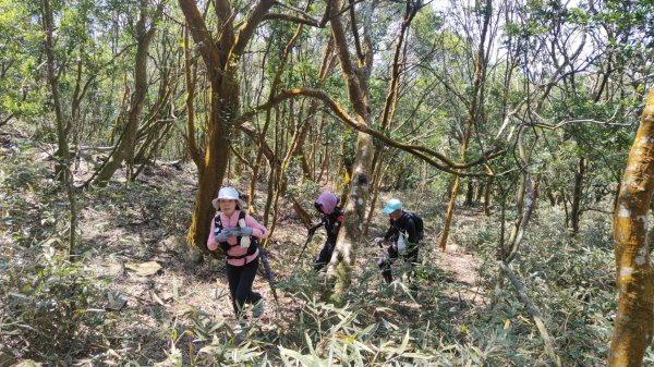 田良井山六連峰(屏東三地門) 探勘初體驗2025年3月9日2731539