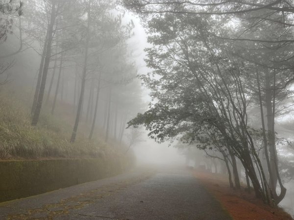 大雪山森林遊樂區2737481
