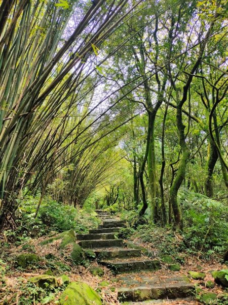 [走遍陽明山］：絹絲瀑布步道+金包里大路+金山老街2186408