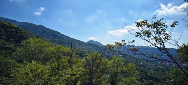 2025/09/13_貴子坑親山步道2884149