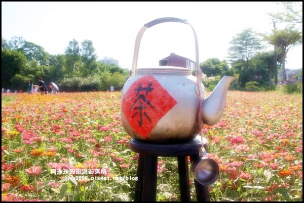 2019桃園花彩節大溪展區繽紛登場734463