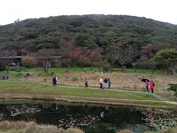 【臺北大縱走 1】二子坪→面天山→清天宮1274579