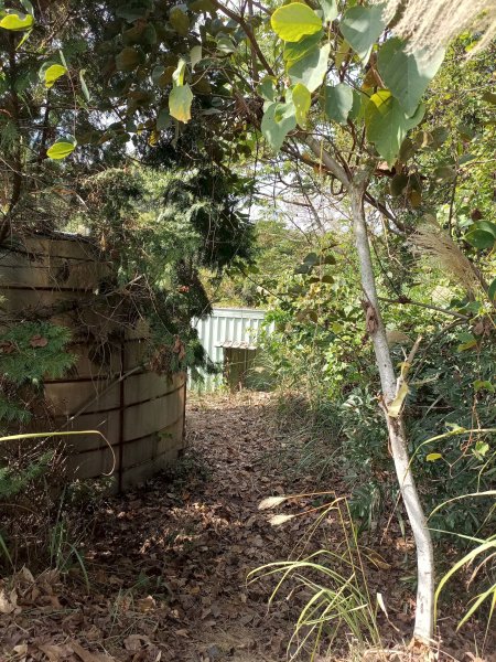 穿霧隘勇線-中三鹿2991753