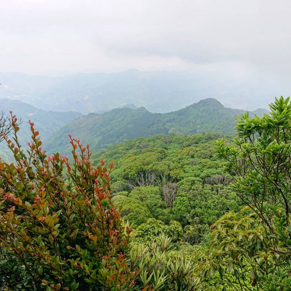 東眼山-拉卡山O型950463