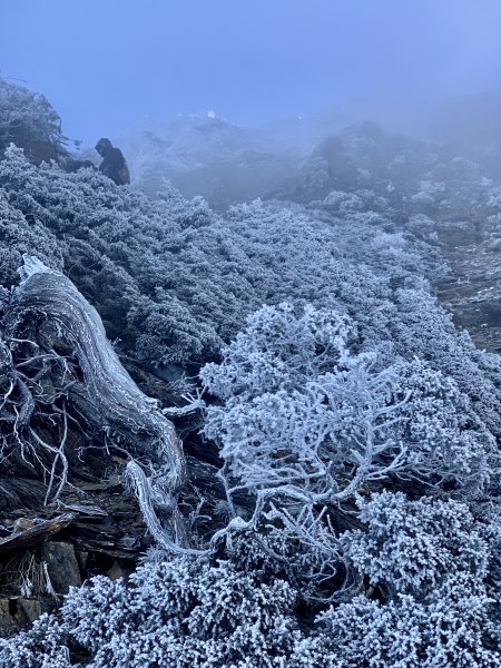 糖霜玉山主峰1556751