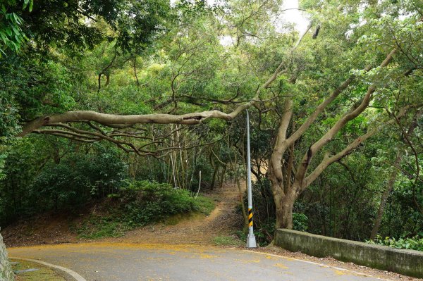 臺北 士林 玉稠湖山、石角山、白雲山、天母山2495976