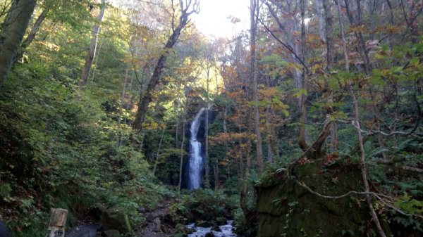 奧入瀨溪健行444355