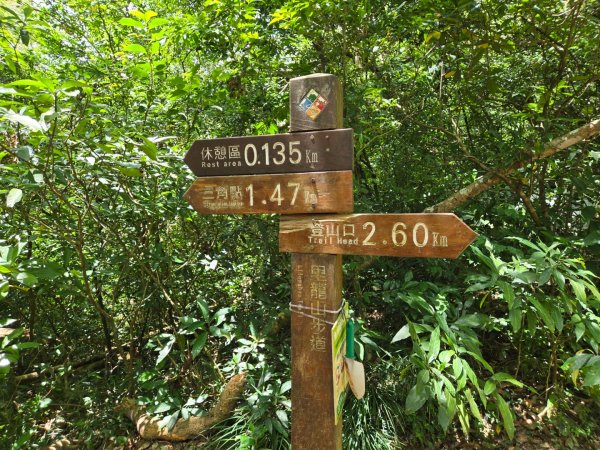 里龍山（小百岳）2788740