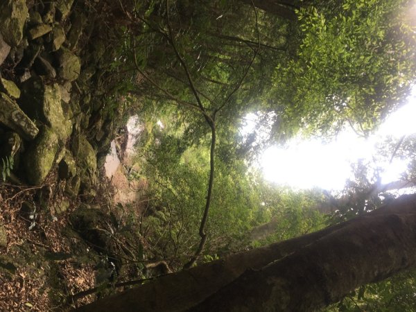 分遣所、斜壁2774334