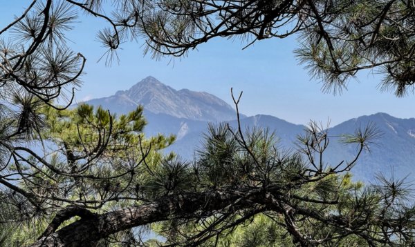 戀愛般的甘酸甜⋯ 閂山．鈴鳴山1342310